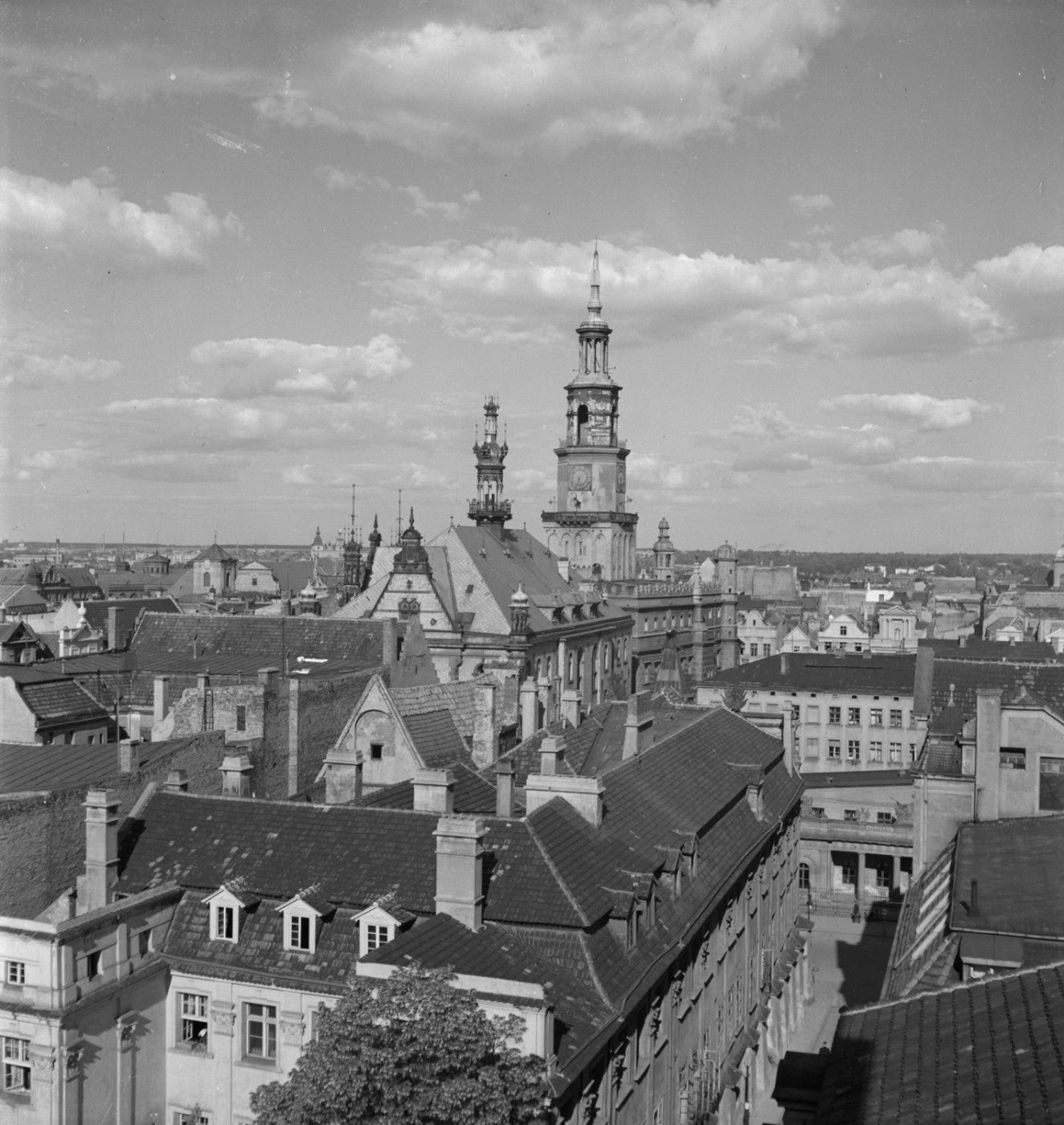 Poznań Codzienny