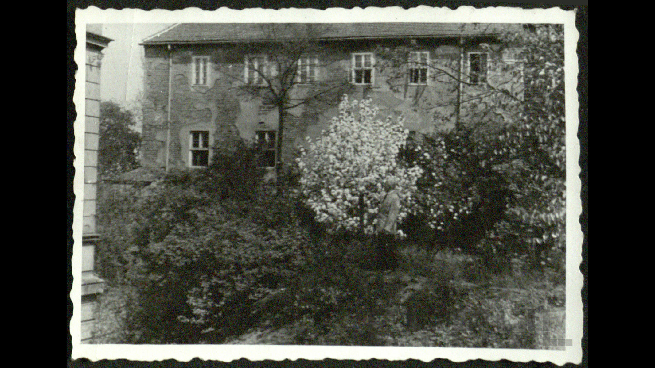 Ogród Krajowego Zakładu dla Głuchoniemych w Poznaniu pod koniec lat 20. XX wieku